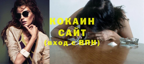 гашик Ельня