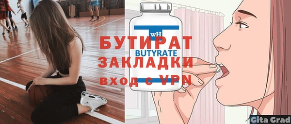 гашик Ельня