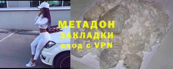 гашик Ельня
