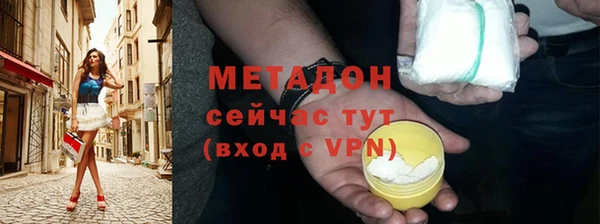 гашик Ельня