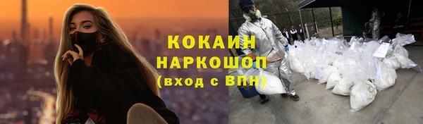 гашик Ельня