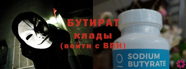 гашик Ельня