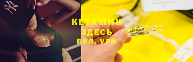 гашик Ельня