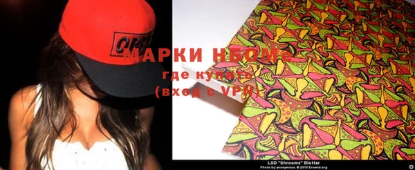 гашик Ельня