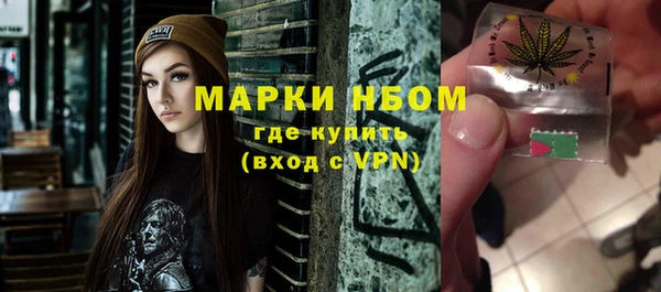 гашик Ельня