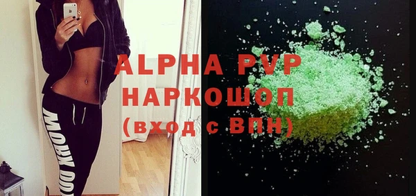 гашик Ельня