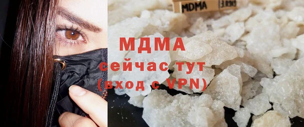 гашик Ельня