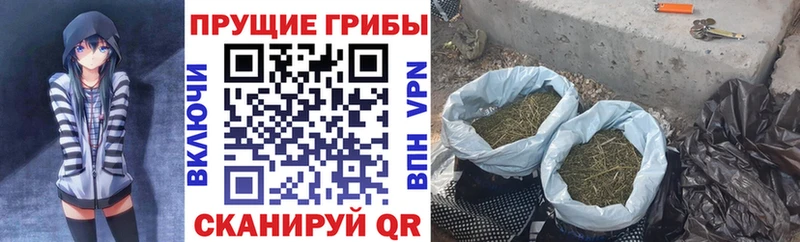 Галлюциногенные грибы GOLDEN TEACHER  Купить где  Клинцы 